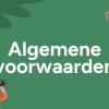 Algemene voorwaarden 2025
