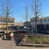 Rijkerswoerd