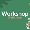 Workshop avond Zindelijkheid in Oldenzaal