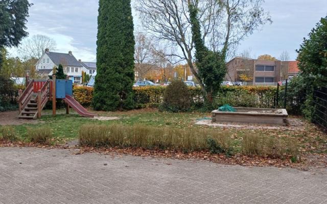Haambengels